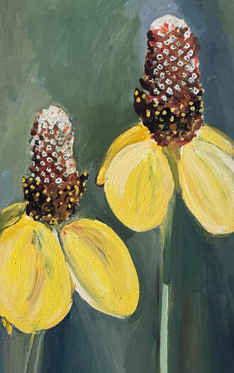 Yellow Coneflowers